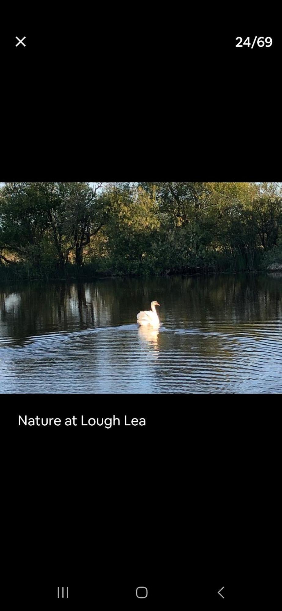 StrokestownLough Lea House, Bunnamuca别墅 外观 照片